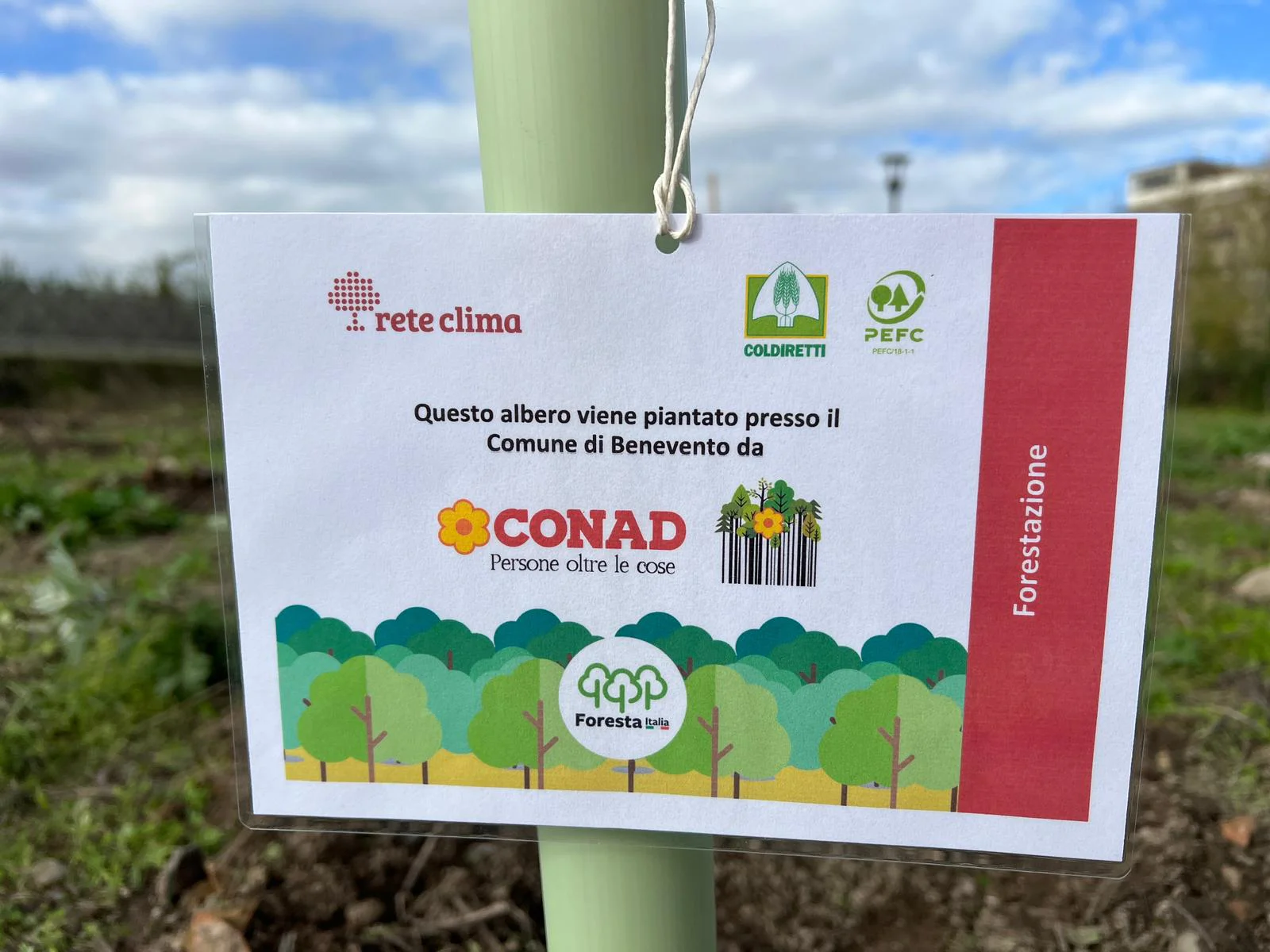 Conad_Benevento_291123_Etichetta albero.jpg