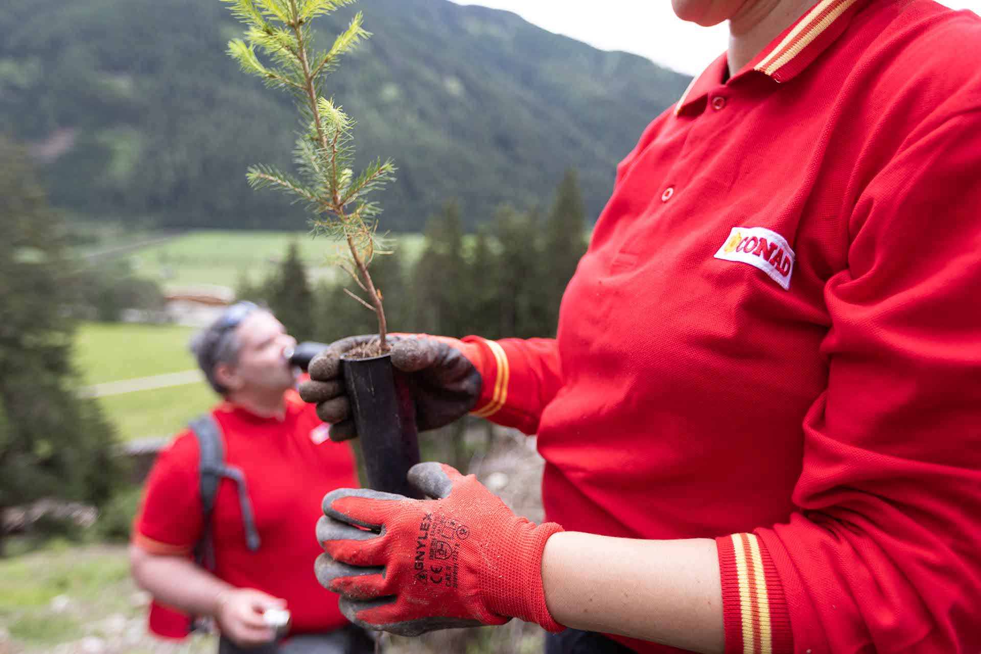 Rasun di Sopra, Bolzano