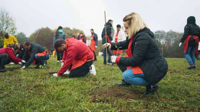 141122 - Torino_Conad_2.15.1.POST.jpg
