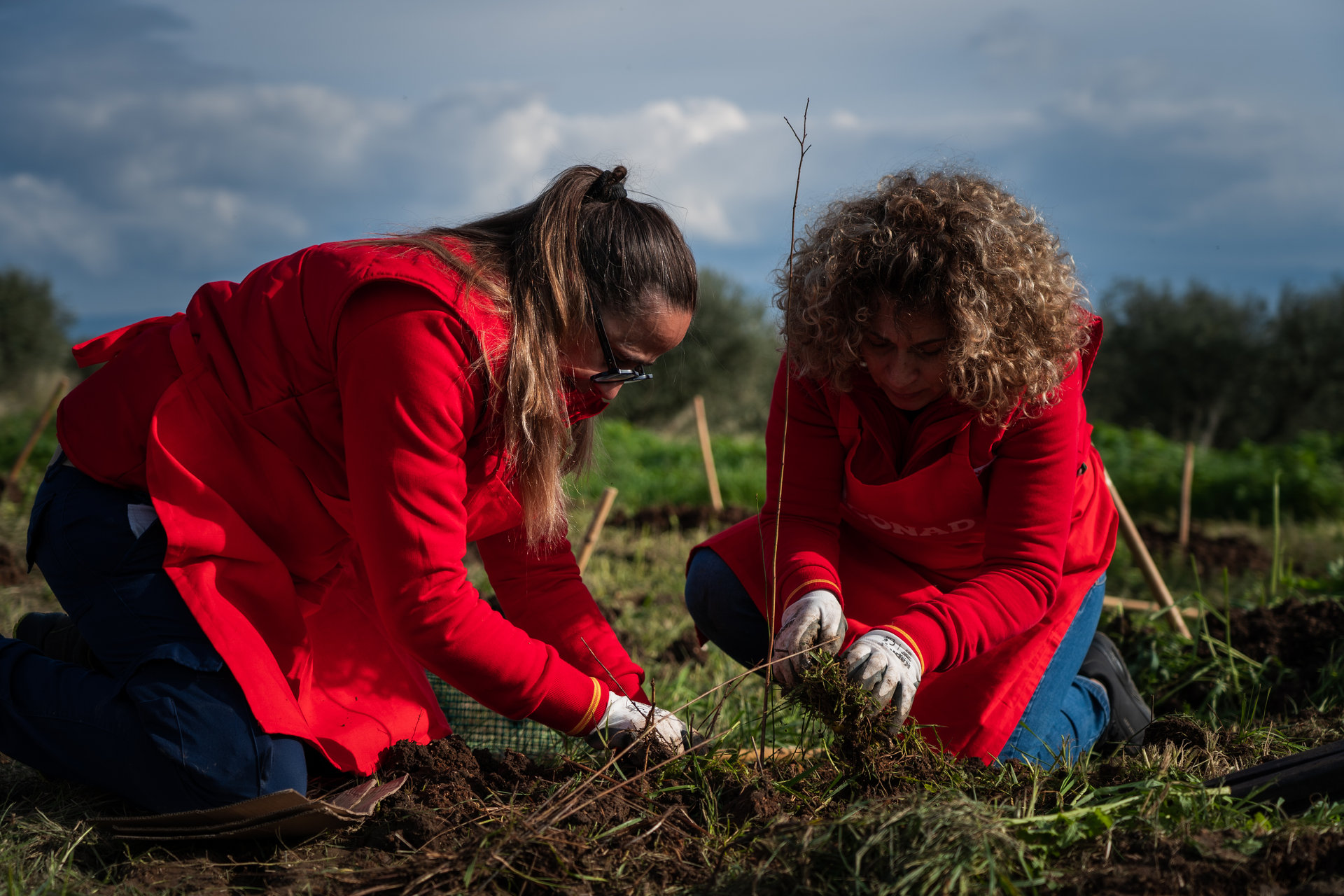 Nova Milanese, Monza Brianza