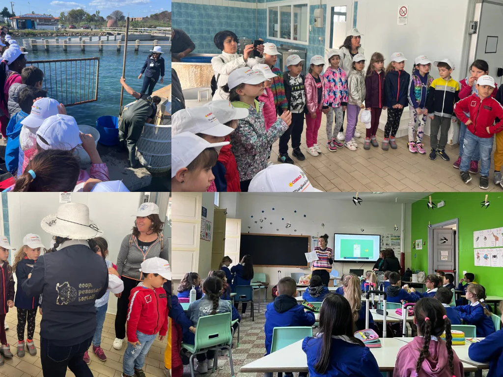 Copia di Progetto senza titolo - 1