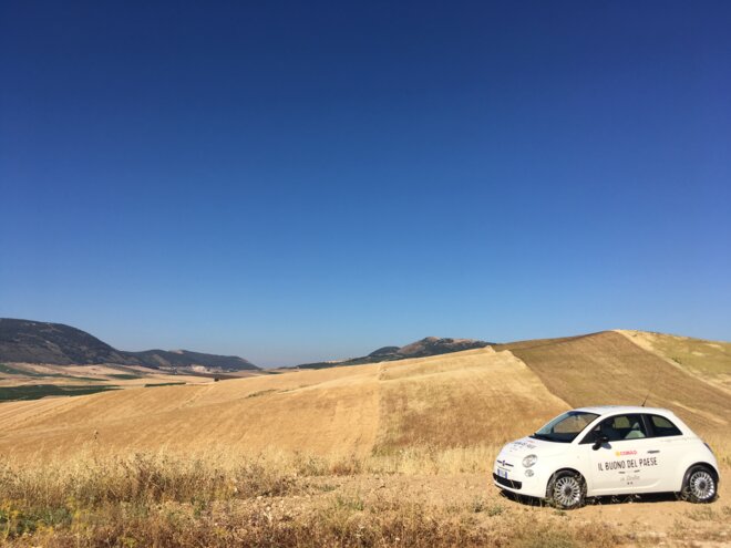 icona territorio.jpeg