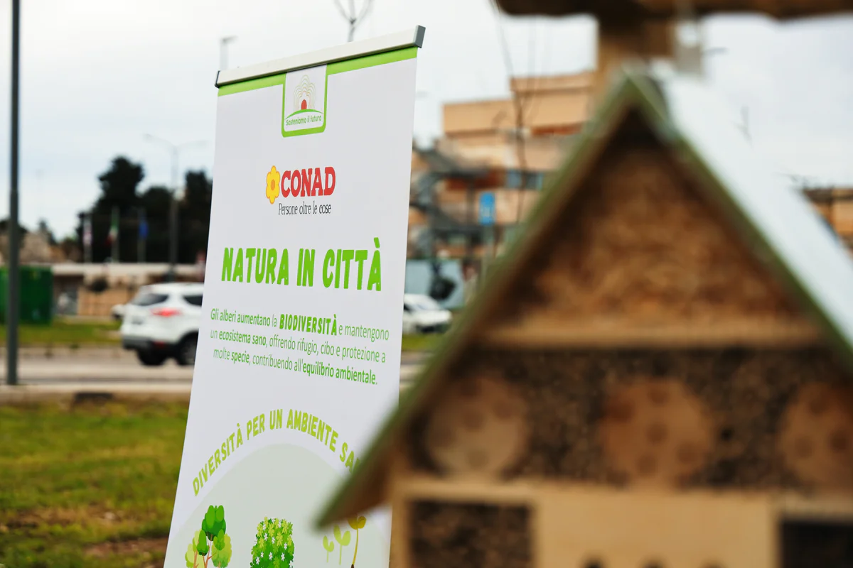 Still 2025-03-13 124809_1.1.1.jpg