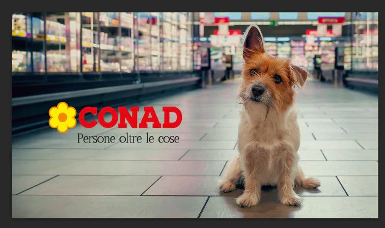Key visual campagna Conad_def.jpg