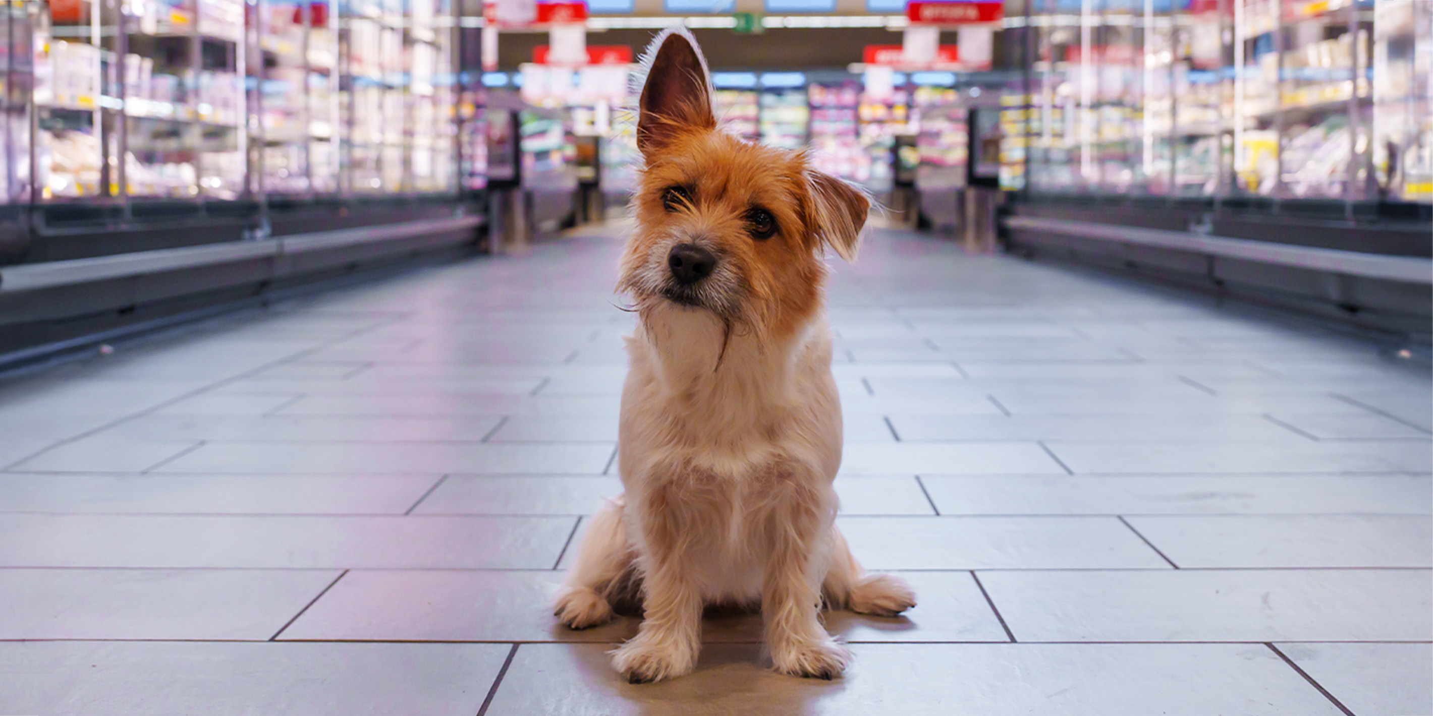 Banner Homepage_375x500.jpg