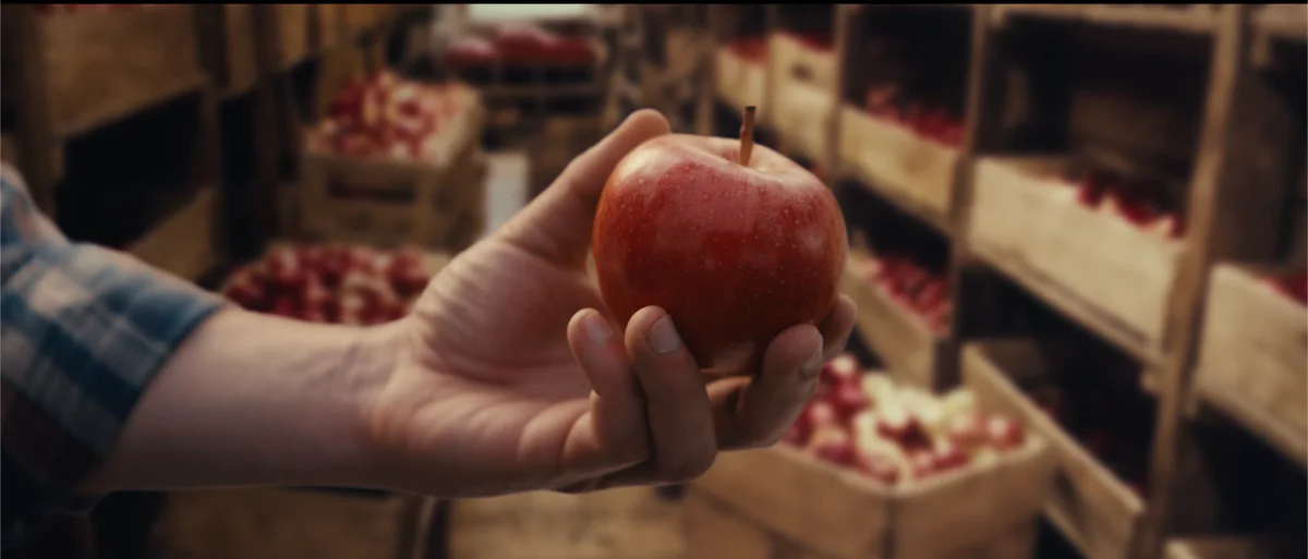 Screenshot 2026-02-02 alle 11.31.59.png