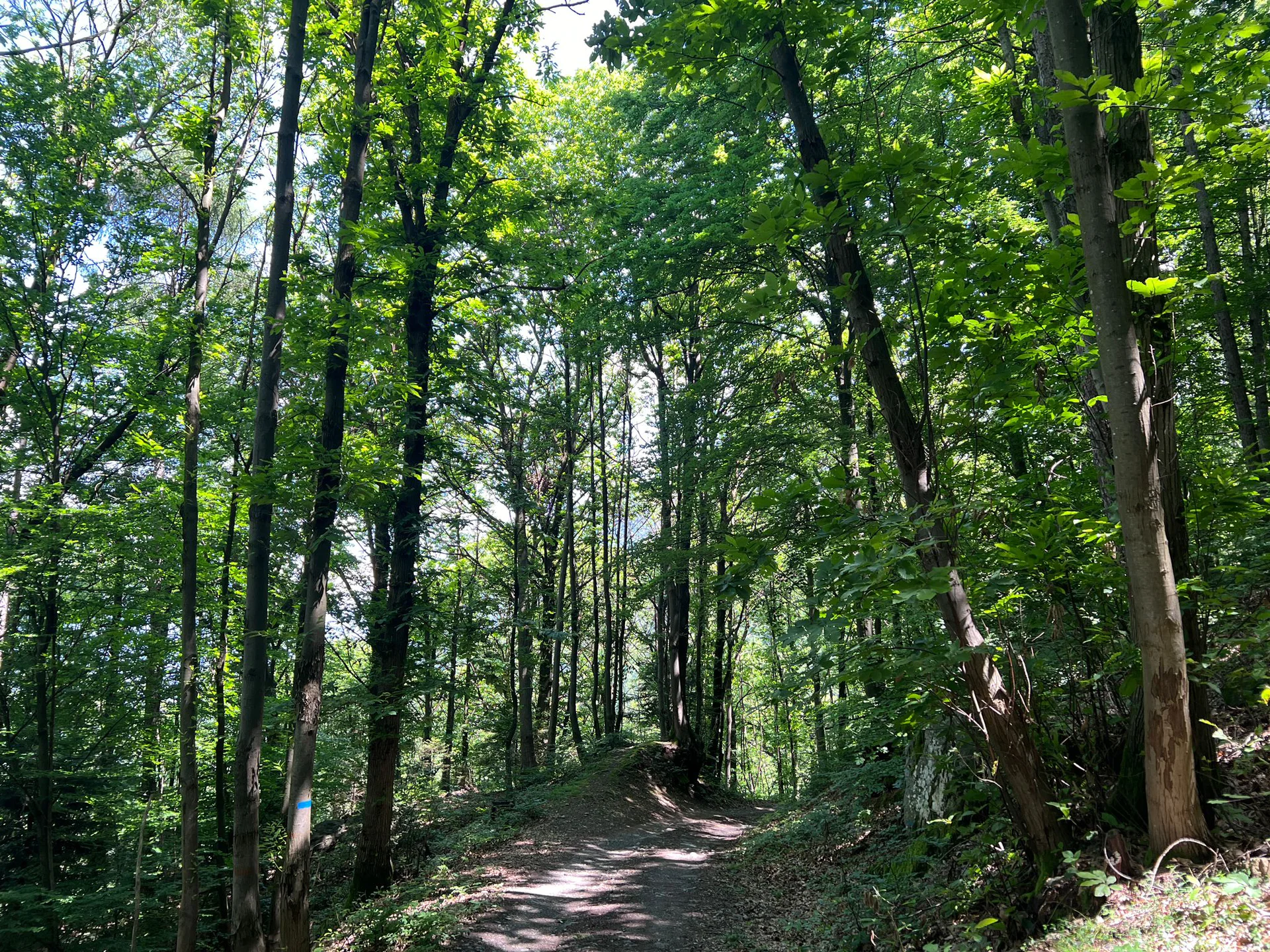 GFS CHEP_val camonica.jpeg