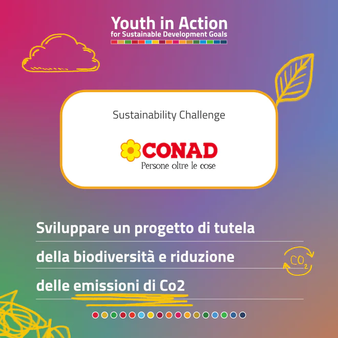 Conad-youthinaction-challenge.jpg